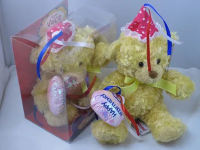 Love Bear Stuffed Toy Recording Plush Toy