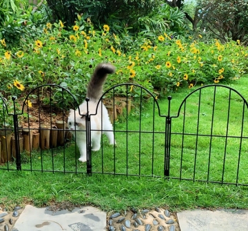 Metallgarten-Kanten Paneele: No-Dig-Zaun für Hunde und Kaninchen