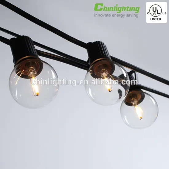 LED Retro Electric Round Clear Bulb Warm White G40 String LED Lights