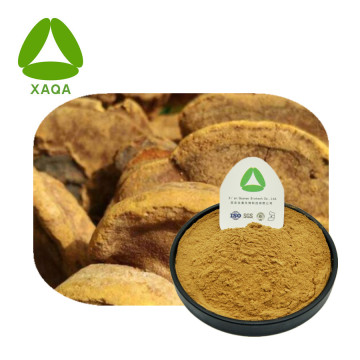 Phellinus Ighiarius Extract Powder Anti-Cancer Material