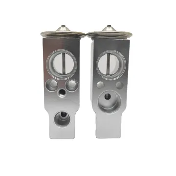 Truck Air Conditioner Expansion Valve for F3000