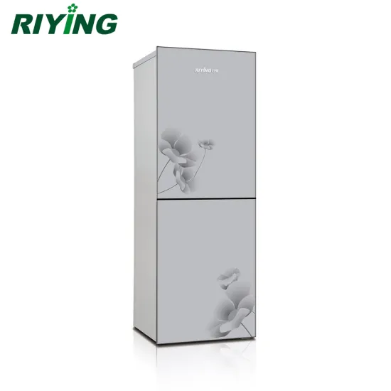 Energy Efficient 226 Liter Double Door and Bottom Freezer Stainless Steel Refrigerator - Class A+