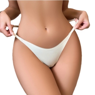 Women's Plus Size Ice Silk Seamless Underwear: Briefs, Thongs & Panties for Ladies