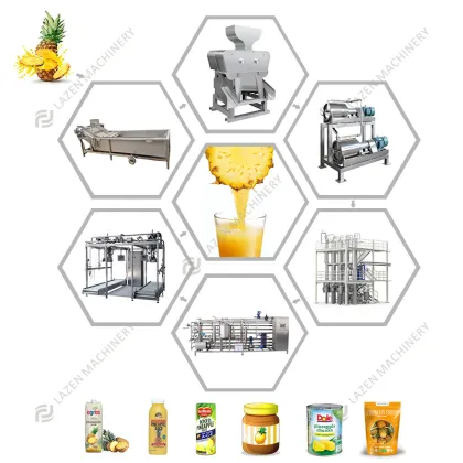 NFC Fresh Nature Fruit Juice Making Machine: Juice Extractor & Production Line