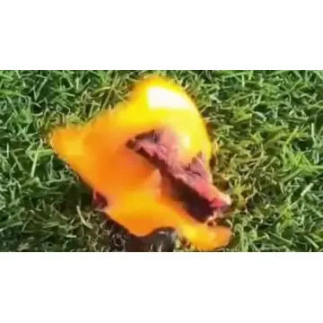 Artificial Grass Landscaping Solutions