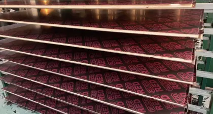 100% Poplar Film Faced Plywood