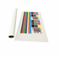 Artist Canvas White Polyester Inkjet Art Canvas Roll