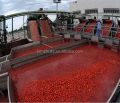CE der Maschine zur Herstellung von Tomatenpaste