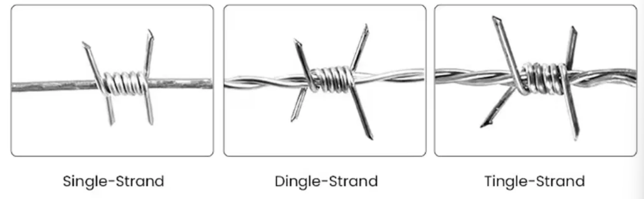 barbed wire mesh