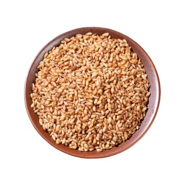 Biota Seed for Calming Herbal Use