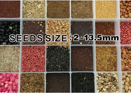 High Precision Gasoline Five and Ten Rows Hand Vegetable Planter Seeder at Cost Price