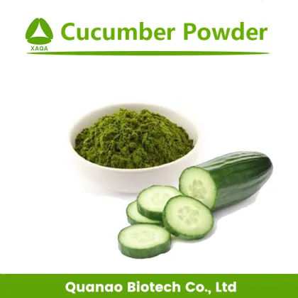 Food Supplement Cucumber Extract Powder / Juice Powder
