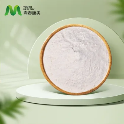 Natural Loquat Leaf Extract for Liver Support