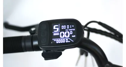 Boxu Factory Morels Prime Electric Bike with Fat Tire: 48V 350Watt Battery and Motor