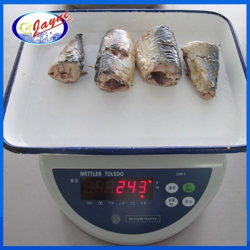 wildness flavor hot sale geisha canned mackerel