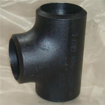Lắp ống Tee A420 WPL6