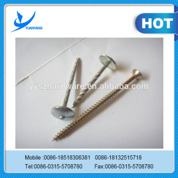 corrugated roofing nails/umbrella roofing nails