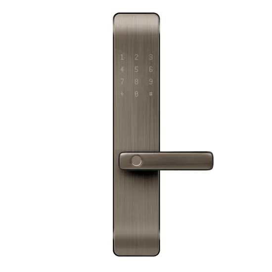 Wifi Smart Door Lock For Home