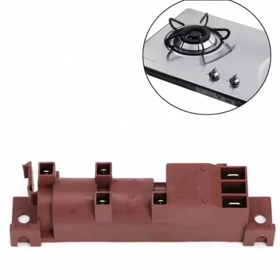 High Quality Supplier: 4-Head Pulse Igniter for Gas Oven and Stove Assembly