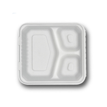 κουτί από ζαχαροκάλαμο ζαχαροκάλαμο Bagasse Square Salad Bowl Bagasse Box