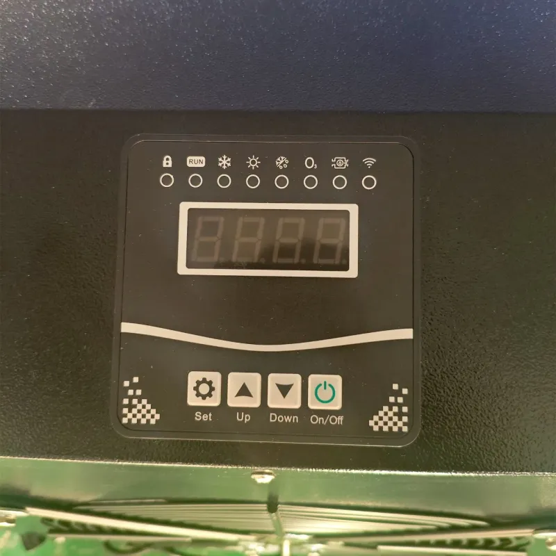 Water Chiller with Cold Plunge Tub for Recovery