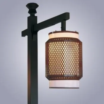 Induction Lamp Courtyard Light