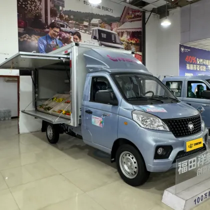 Foton Sapling V1 Micro Truck