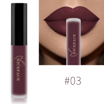 High Quality Waterproof Matte Liquid Lipgloss with High Pigment - Wholesale