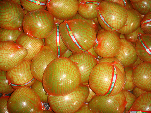 Färska xiamen läckra pomelo