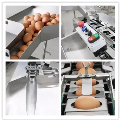 Commercial Egg Yolk and Egg White Separator