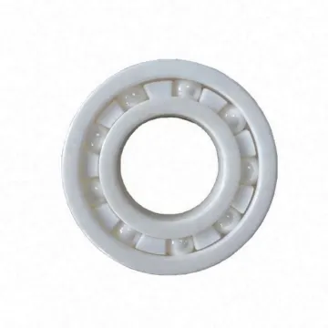 China Suppliers 16019 CE Single Row Deep Groove Ceramic Ball Bearing