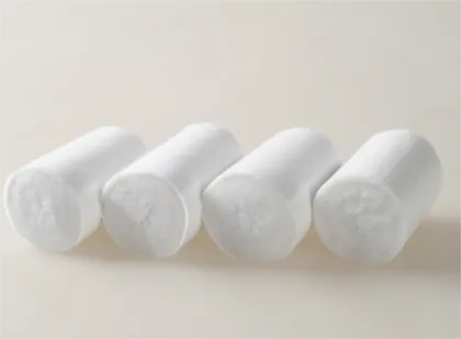 Disposable  plaster  liner