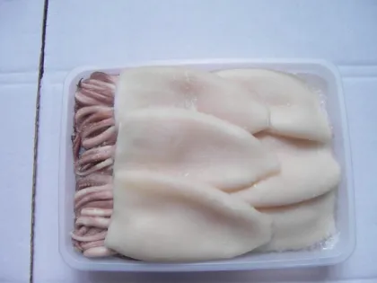 Frozen squid Tentacle + Tube ,frozen calamari T&T