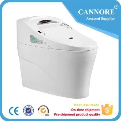Bathroom Ceramic Intelligent Automatic Flush Sanitary Ware Smart Toilet