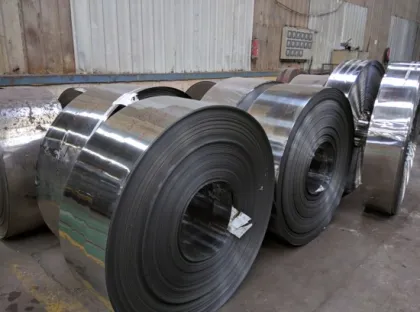 Stainless Steel Strips