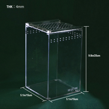 Caixa de criação de besouros de acrílico extra espesso