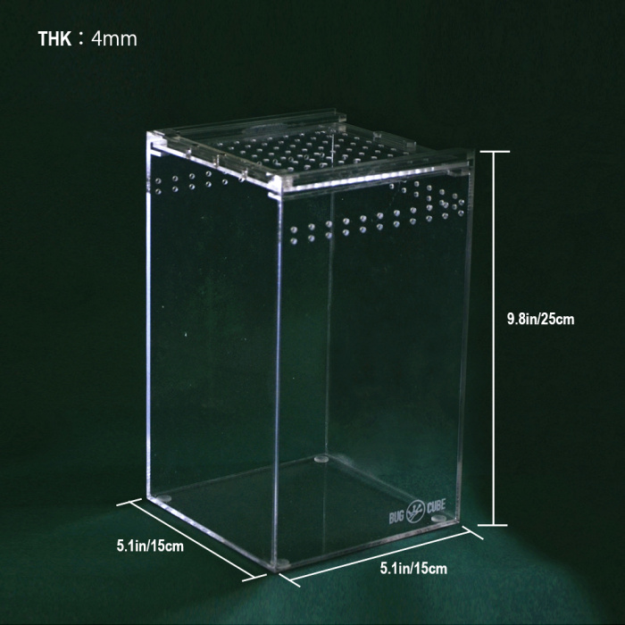 Caixa de criação de besouros de acrílico extra espesso