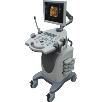 Voller digitaler Farbdoppler -Ultraschalldiagnosesystem