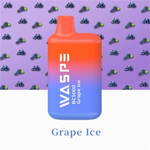 Waspe Vape 5000 puffs disposierbar Vaucher Grousshandel Schweden China  Fabrikant