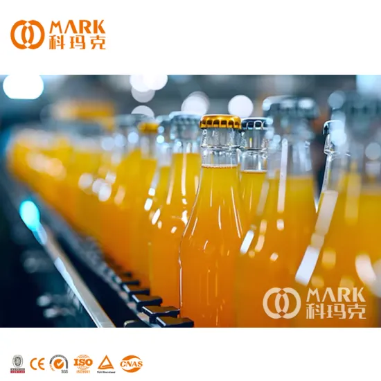 Glass Bottle Fruit Juice Packaging Line Suppliers