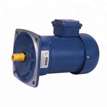 G3 Series 220V AC Gear Motor for Poultry - Vertical, Single/Three-Phase, Aluminum Shell Brake Gearbox
