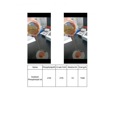 Lecithin ของเหลวที่ได้รับการรับรองจากฟีดของ ISO