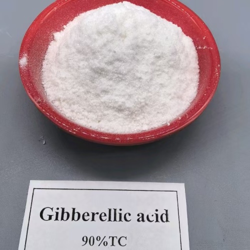 สารกระตุ้นทางชีวภาพ Gibberellins GA4+7 ในแอฟริกาใต้