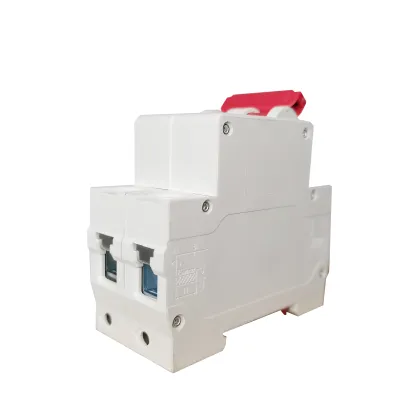 SunRo Brand Mini Circuit Breaker 63A 1000V 2 Pole DC