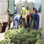 Complete banana fruit drinking juice production line plant