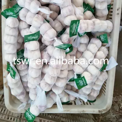 food grade china fresh garlic