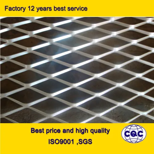 Expanded Sheet Metal Mesh/expanded Metal Mesh (qg3), High Quality