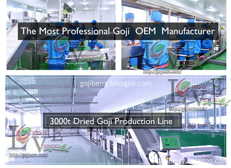 Hypotensive Goji Berry production line