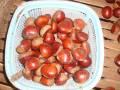 murah chestnut segar berkualiti