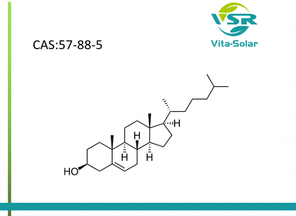 Cholesterol From Plant